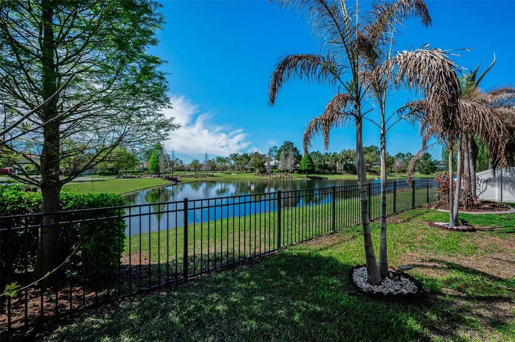 11891 Frost Aster Drive Riverview FL 33579