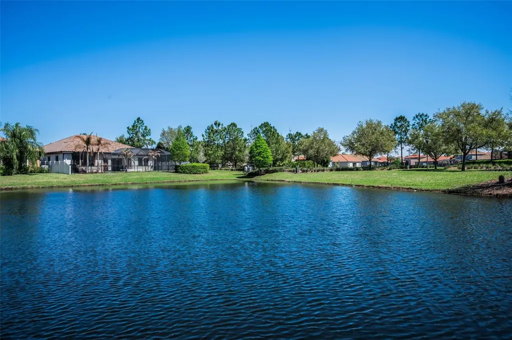 11891 Frost Aster Drive Riverview FL 33579