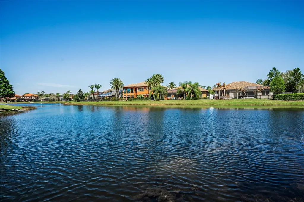 11891 Frost Aster Drive Riverview FL 33579