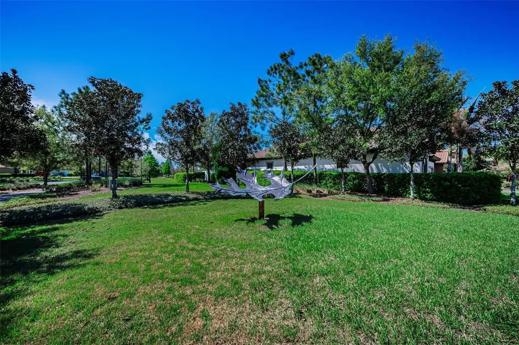 11891 Frost Aster Drive Riverview FL 33579