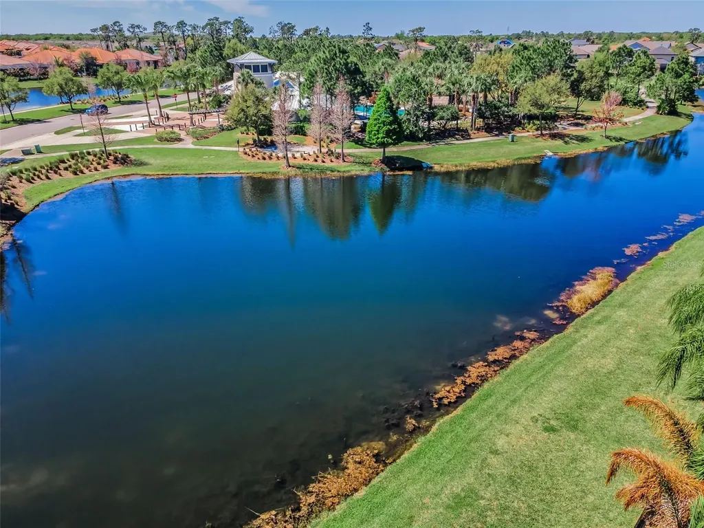 11891 Frost Aster Drive Riverview FL 33579