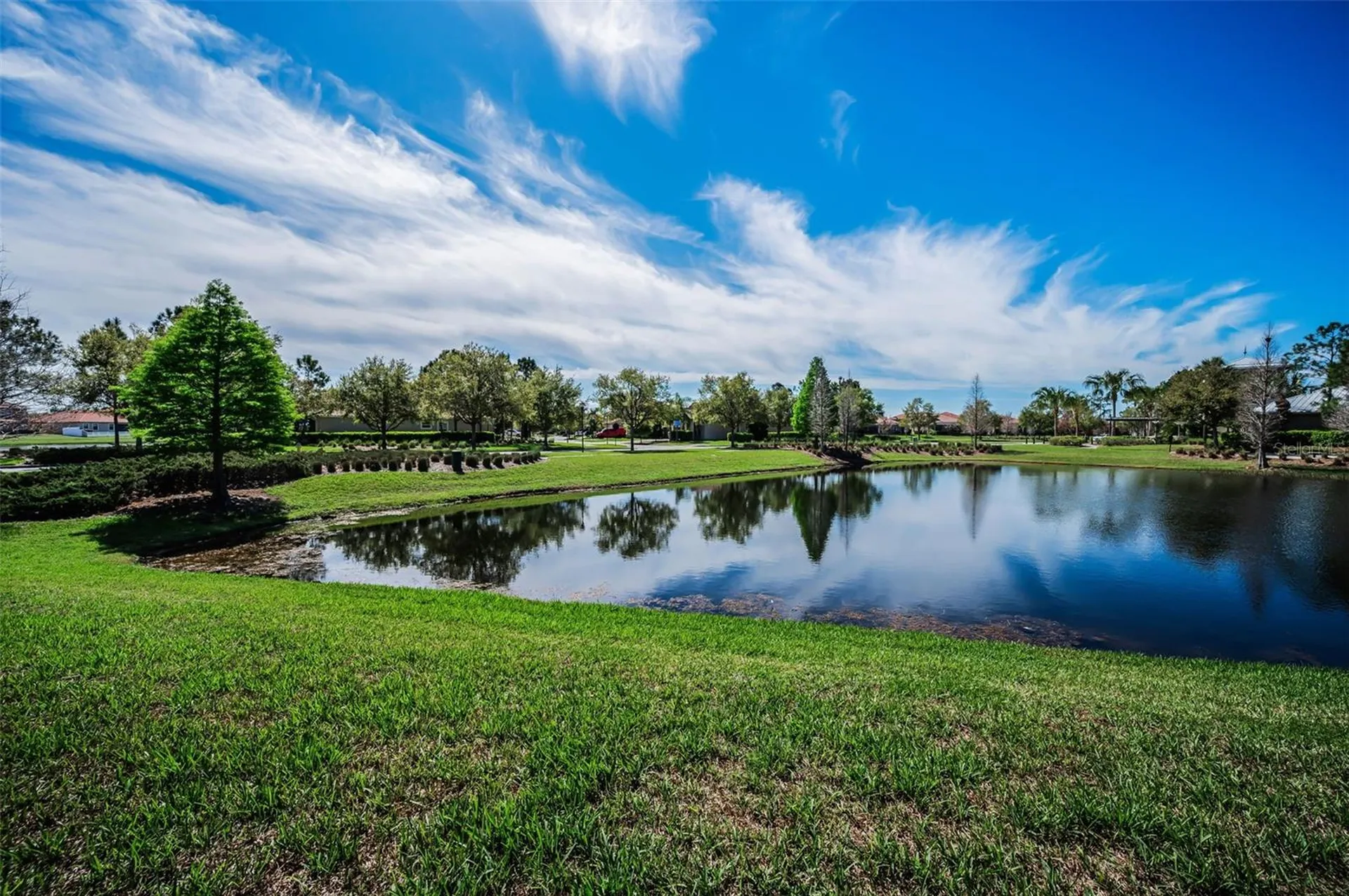 11891 Frost Aster Drive Riverview FL 33579
