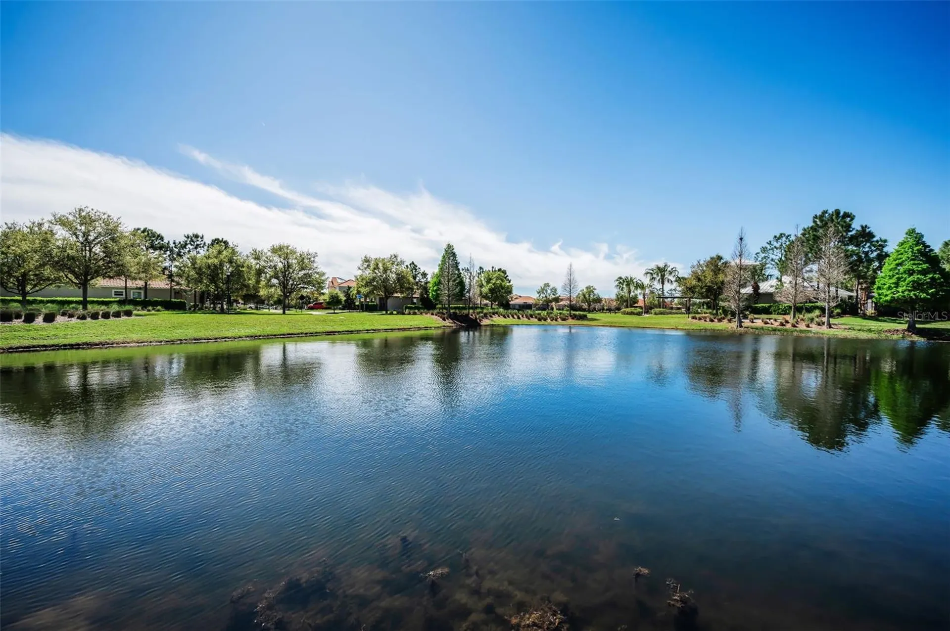 11891 Frost Aster Drive Riverview FL 33579