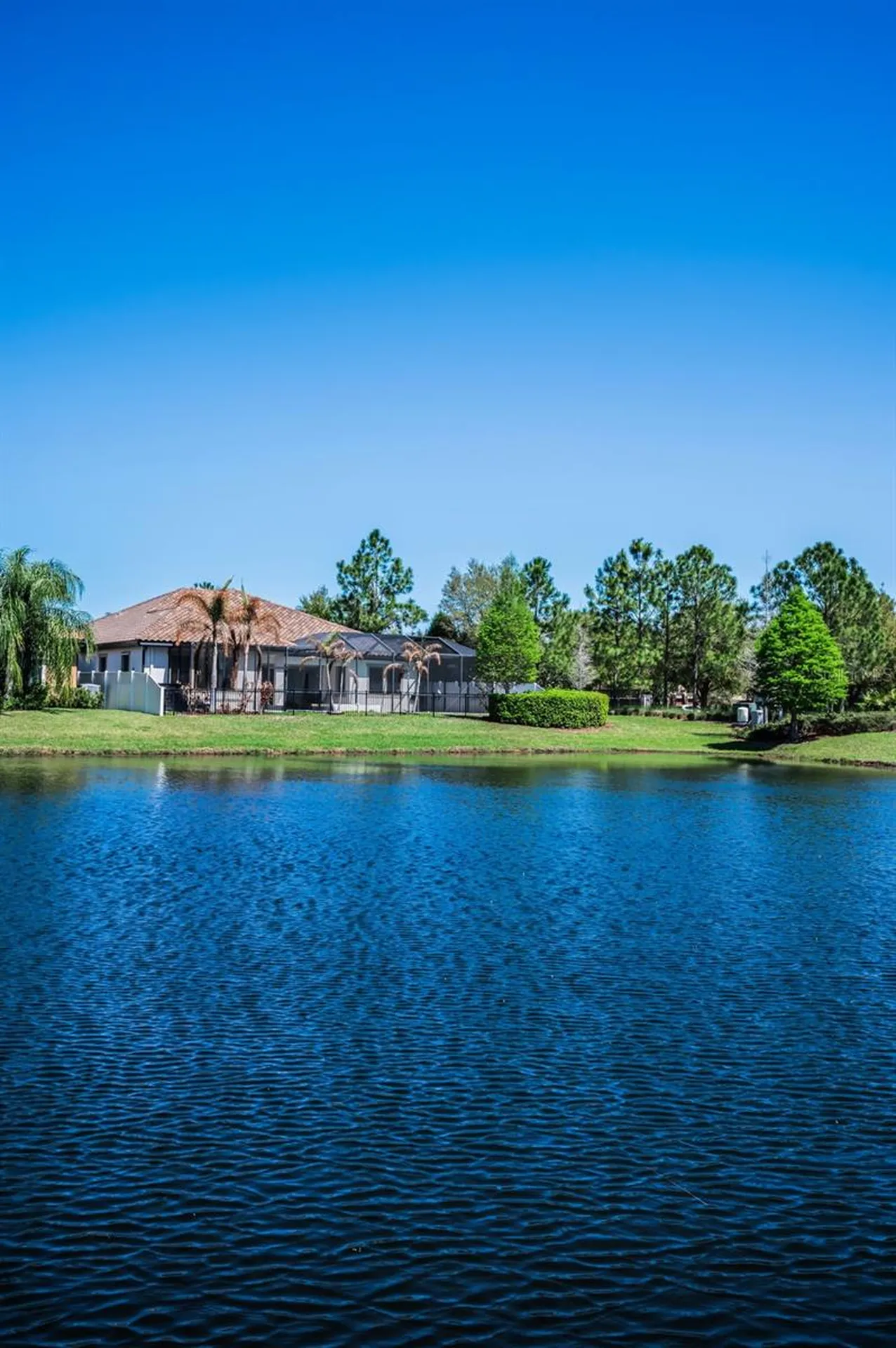 11891 Frost Aster Drive Riverview FL 33579