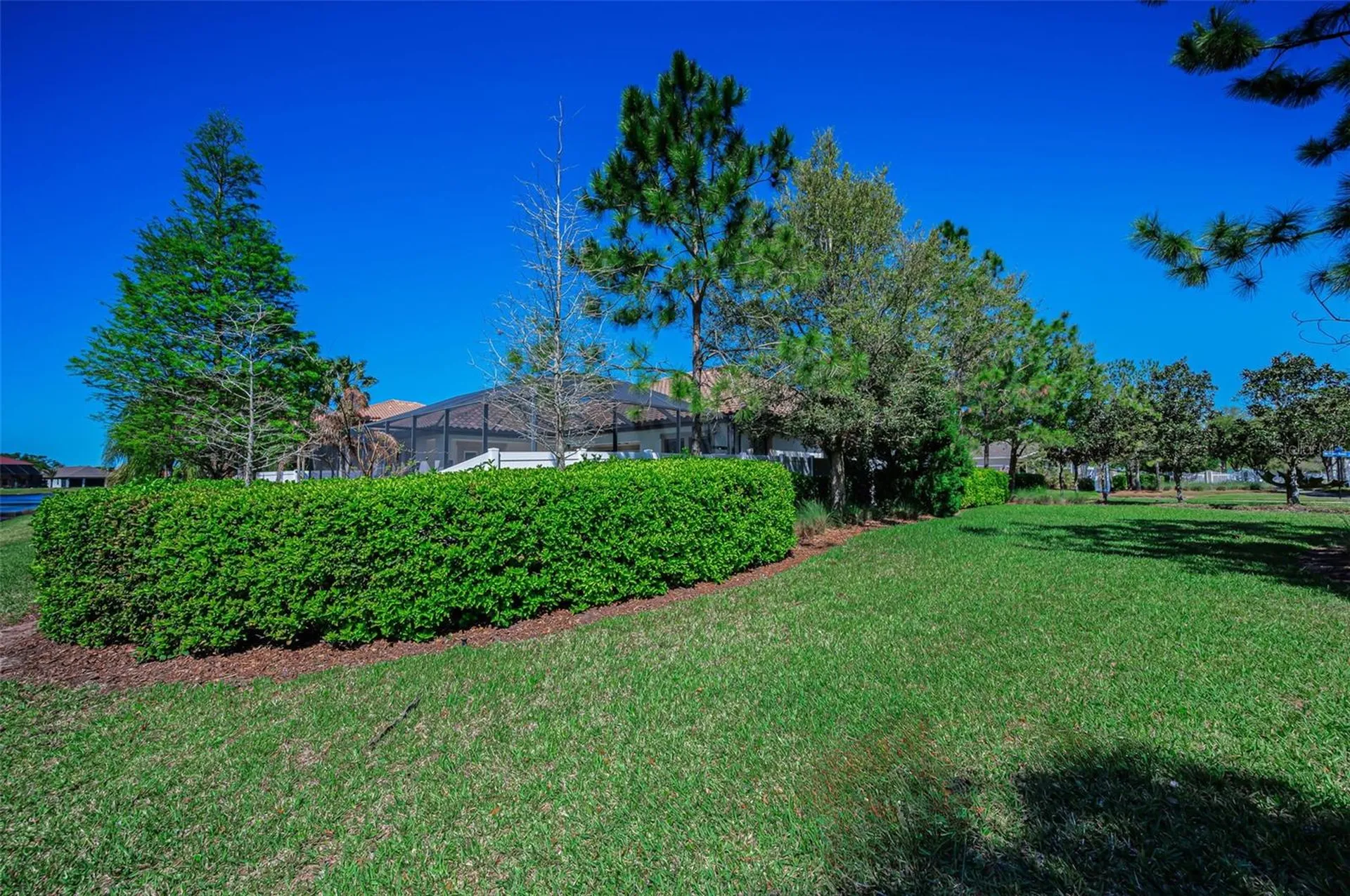 11891 Frost Aster Drive Riverview FL 33579