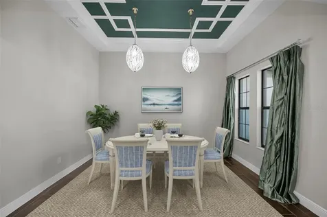 11891 Frost Aster Drive Riverview FL 33579