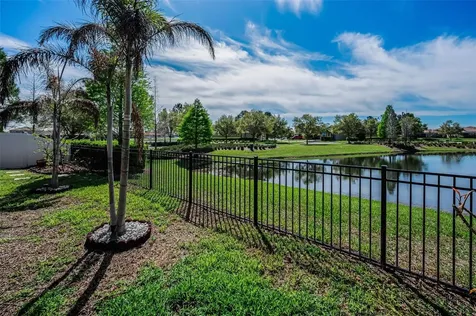 11891 Frost Aster Drive Riverview FL 33579