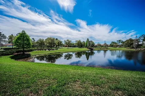 11891 Frost Aster Drive Riverview FL 33579