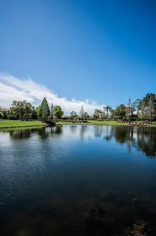 11891 Frost Aster Drive Riverview FL 33579