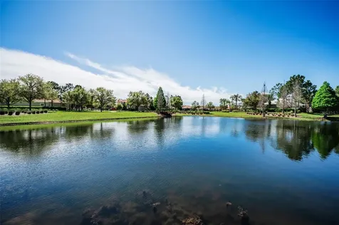 11891 Frost Aster Drive Riverview FL 33579