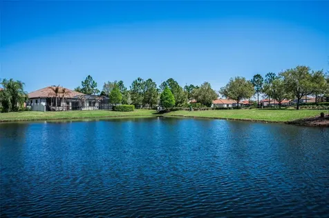 11891 Frost Aster Drive Riverview FL 33579