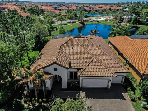 11891 Frost Aster Drive Riverview FL 33579