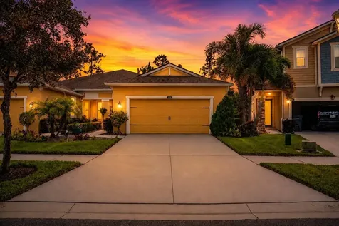 11716 Wrought Pine Loop Riverview FL 33569