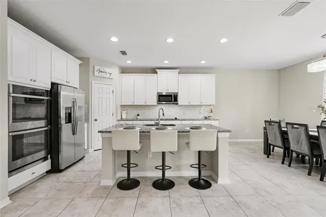 30789 Parrot Reef Court Wesley Chapel FL 33545