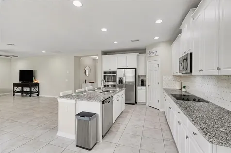 30789 Parrot Reef Court Wesley Chapel FL 33545