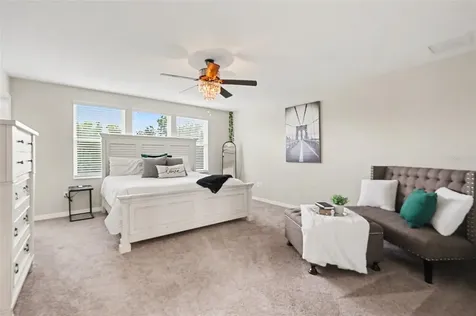 30789 Parrot Reef Court Wesley Chapel FL 33545