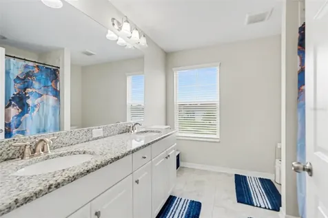 30789 Parrot Reef Court Wesley Chapel FL 33545