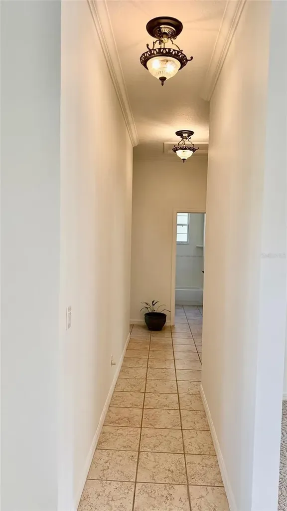 3701 W Anthony Road Ocala FL 34475