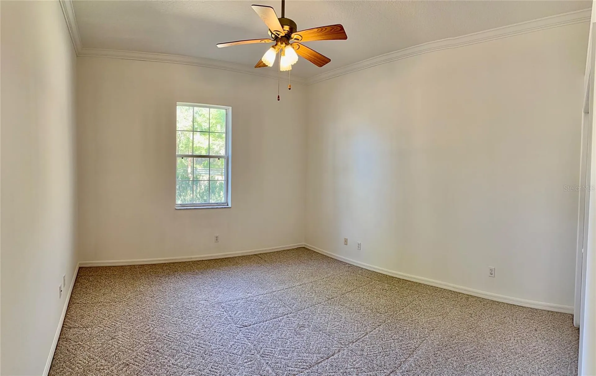 3701 W Anthony Road Ocala FL 34475