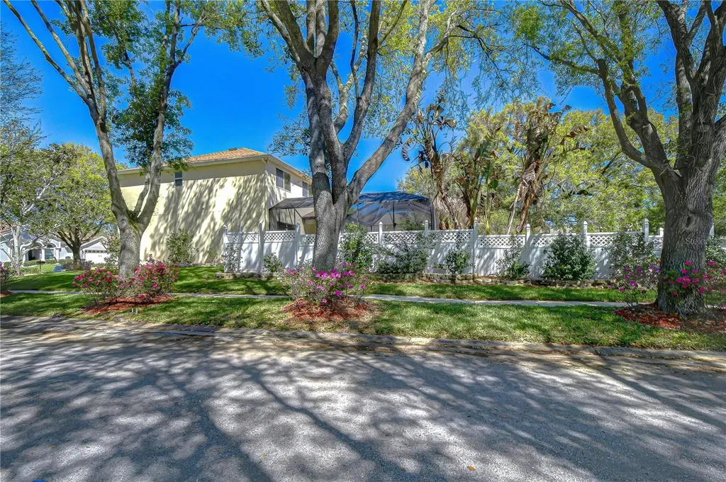 1121 Split Silk Street Valrico FL 33594