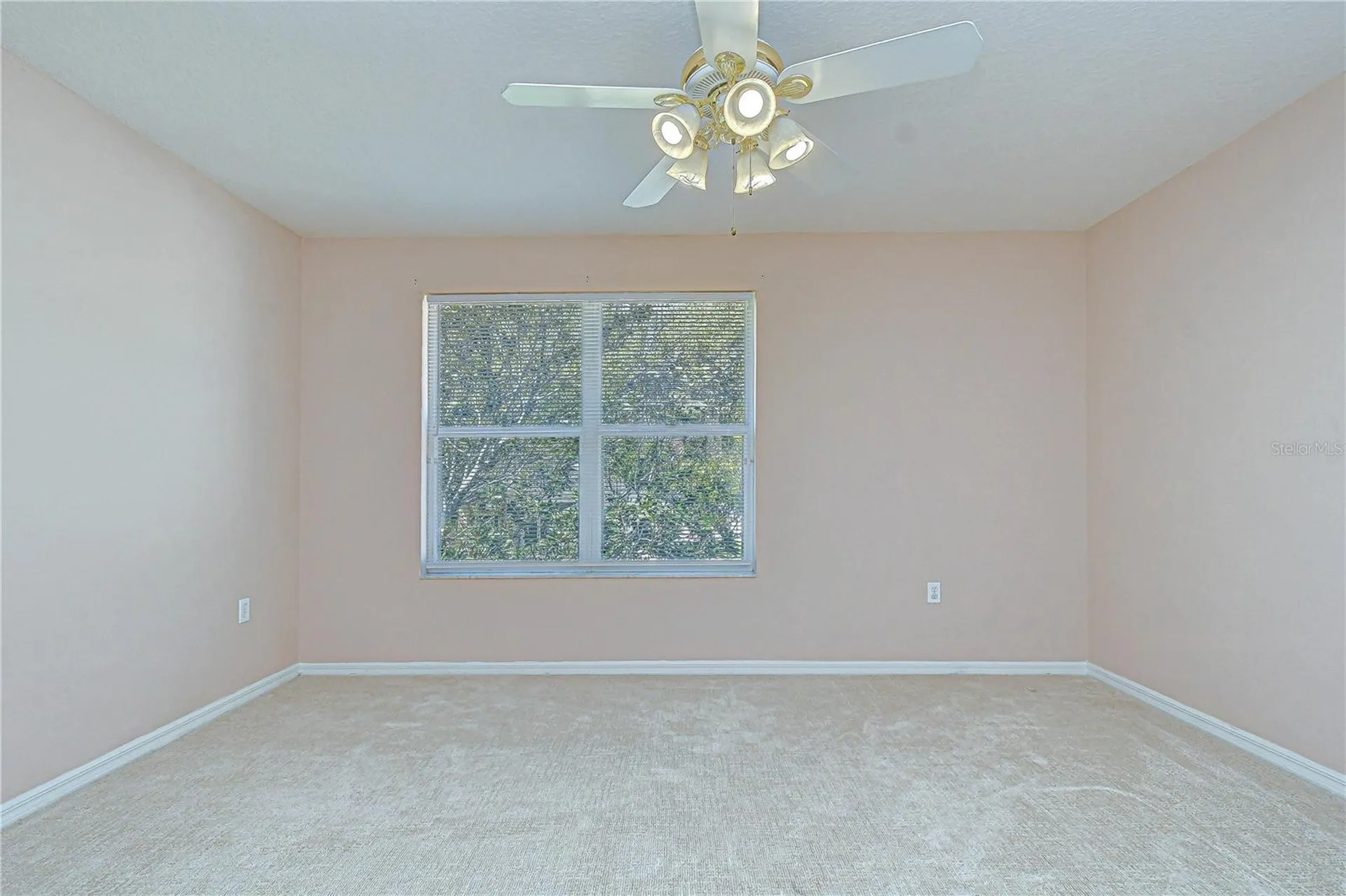 1121 Split Silk Street Valrico FL 33594