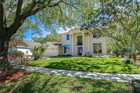 1121 Split Silk Street Valrico FL 33594