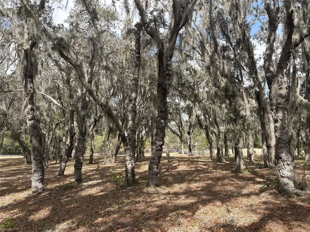 15436 Vinola Drive Montverde FL 34756
