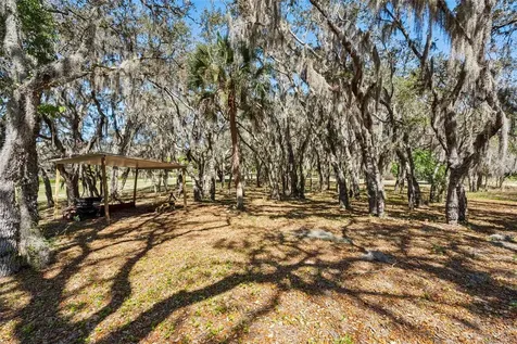 15436 Vinola Drive Montverde FL 34756