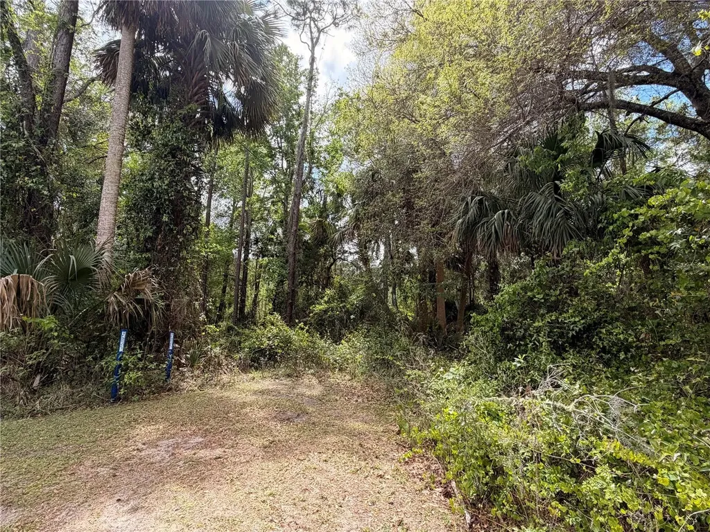 County Road 445a Astor FL 32102