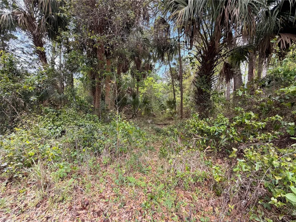 County Road 445a Astor FL 32102