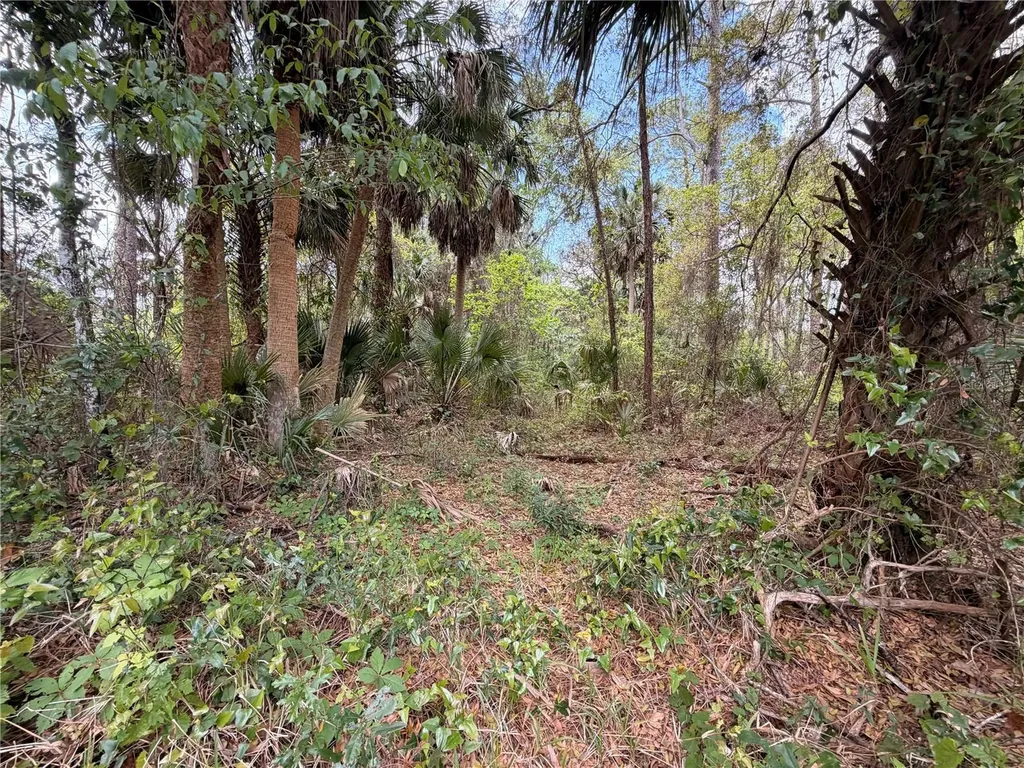 County Road 445a Astor FL 32102