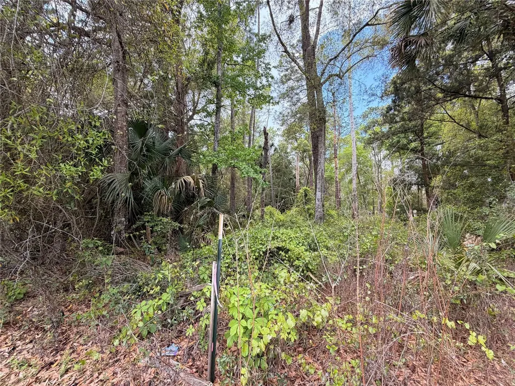 County Road 445a Astor FL 32102
