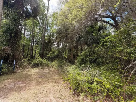 County Road 445a Astor FL 32102