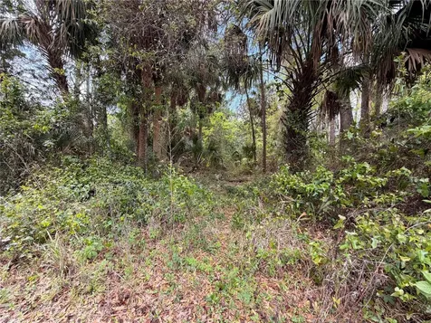 County Road 445a Astor FL 32102