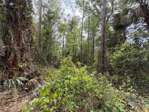 County Road 445a Astor FL 32102