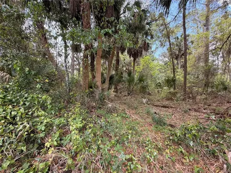 County Road 445a Astor FL 32102