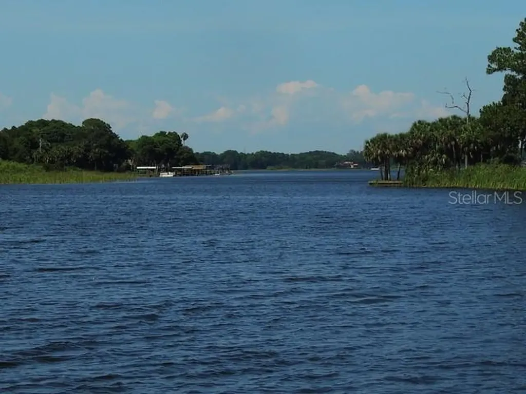 13 Hamilton Lane Palm Harbor FL 34684