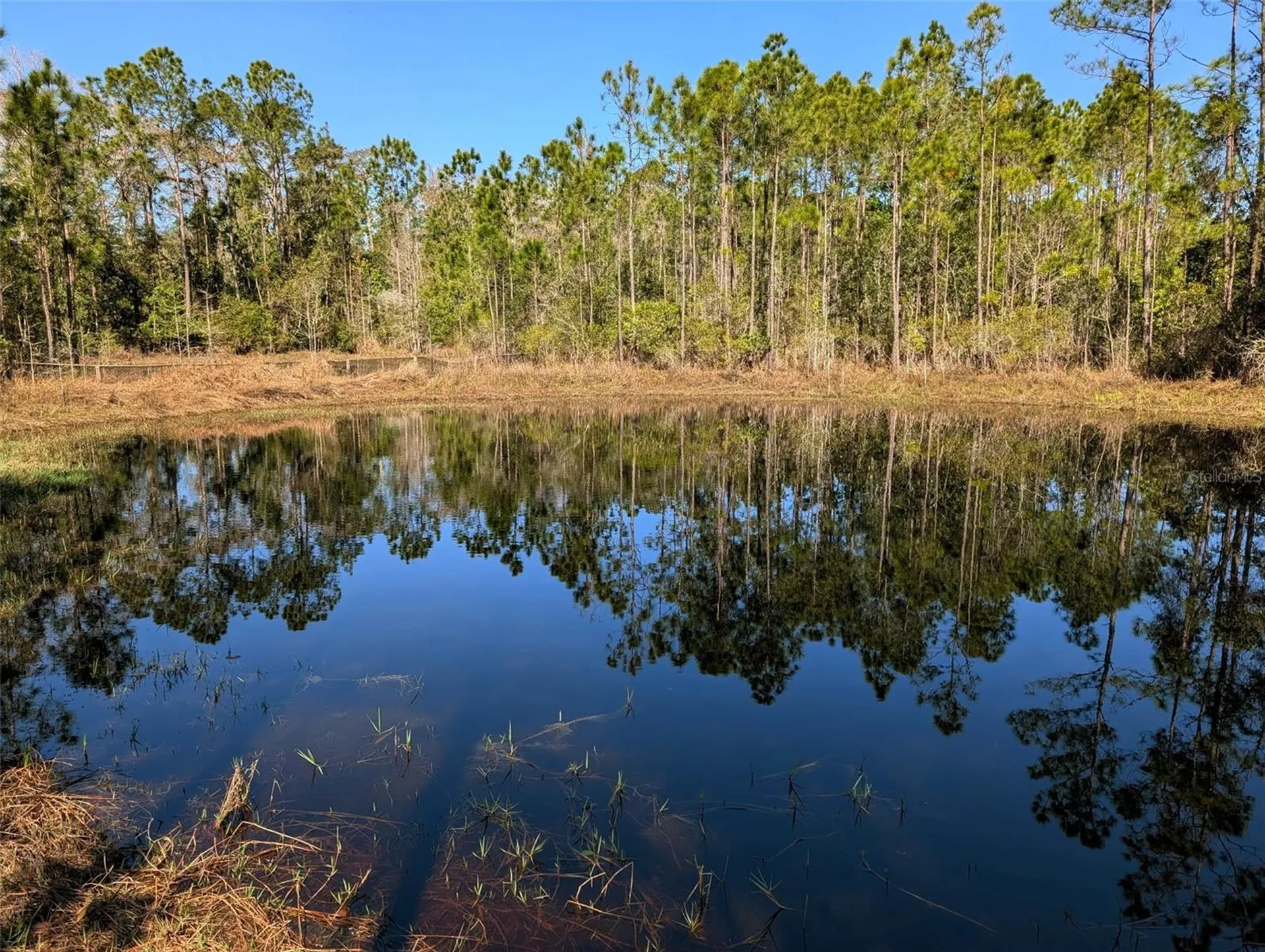 4914 Mahogany Boulevard Bunnell FL 32110