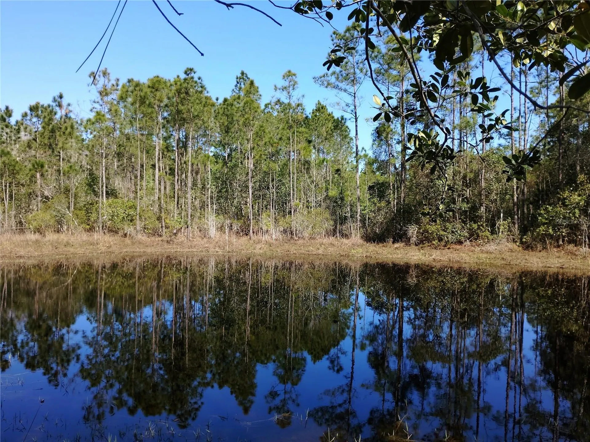 4914 Mahogany Boulevard Bunnell FL 32110