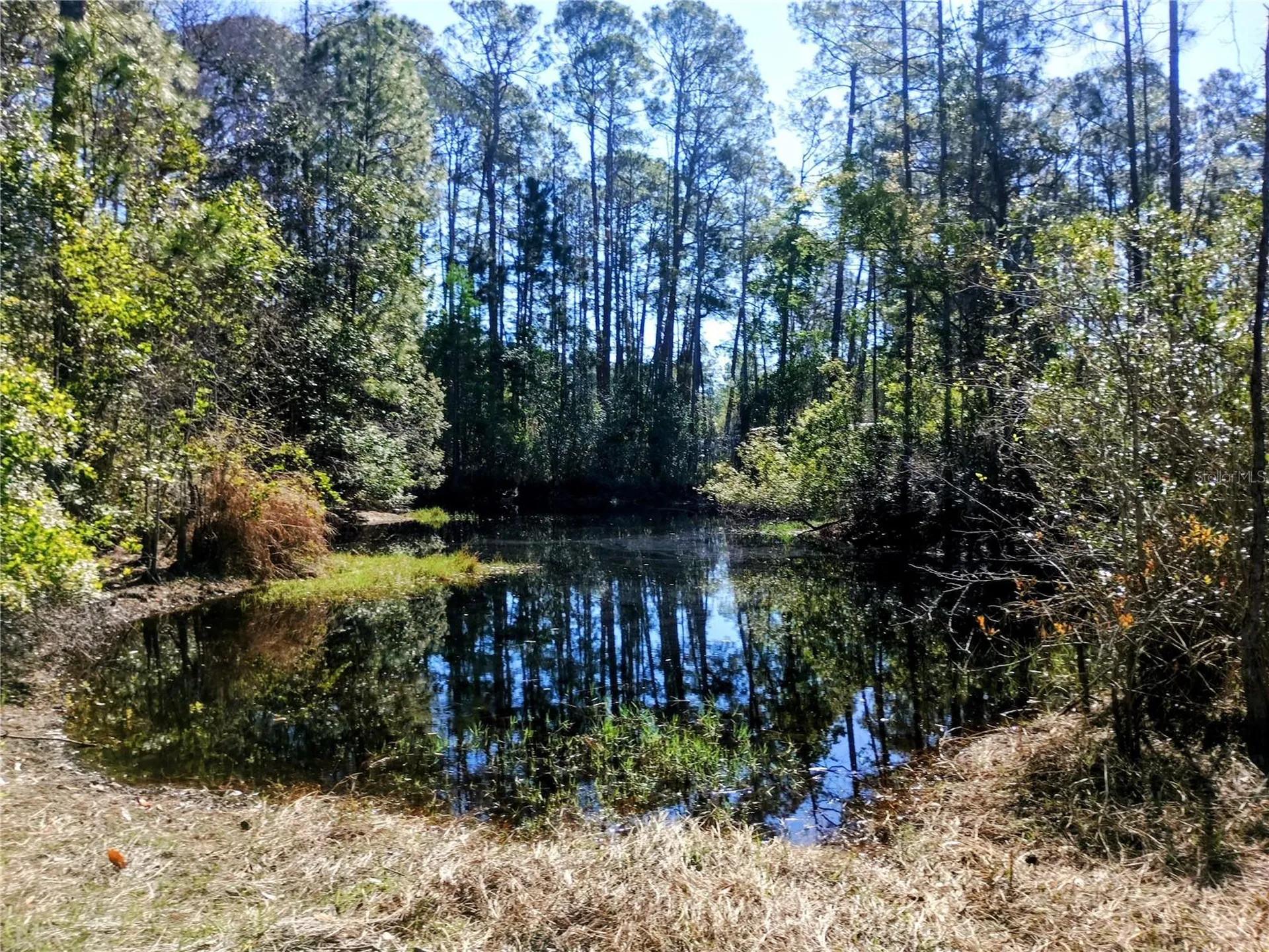 4914 Mahogany Boulevard Bunnell FL 32110