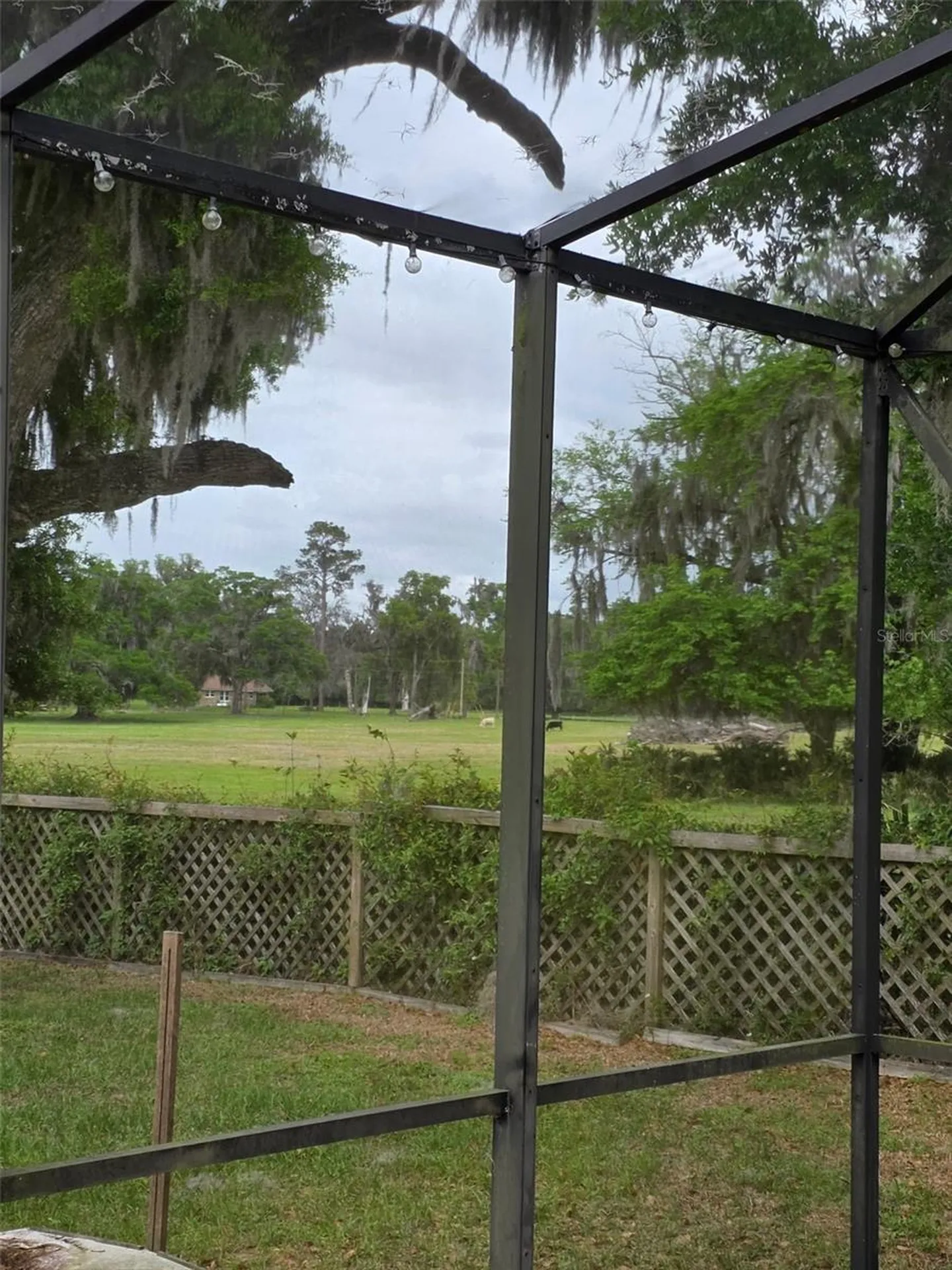 5425 NE 6th Court Ocala FL 34479