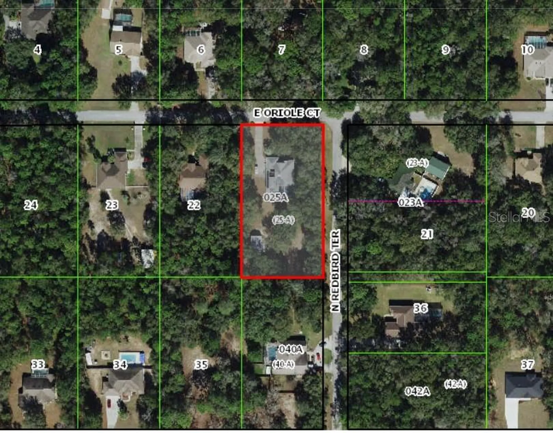 1210 E Oriole Court Hernando FL 34442