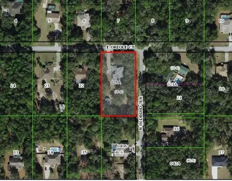 1210 E Oriole Court Hernando FL 34442