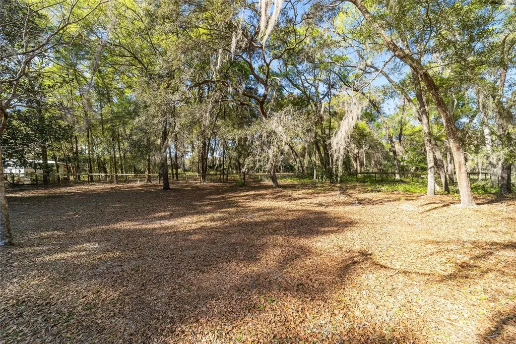 4849 NE 132nd Place Anthony FL 32617