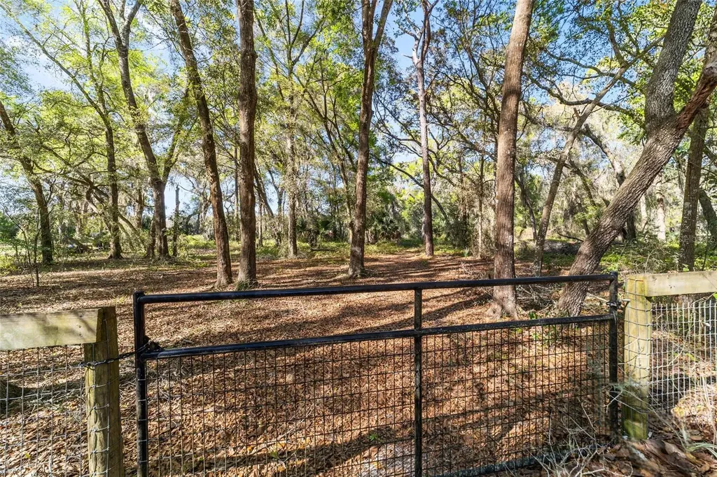 4849 NE 132nd Place Anthony FL 32617