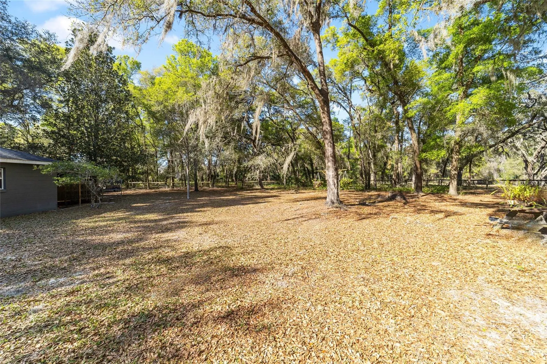 4849 NE 132nd Place Anthony FL 32617