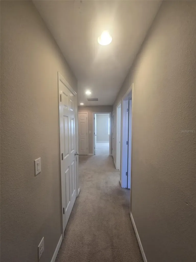 6978 Holly Heath Drive Riverview FL 33578