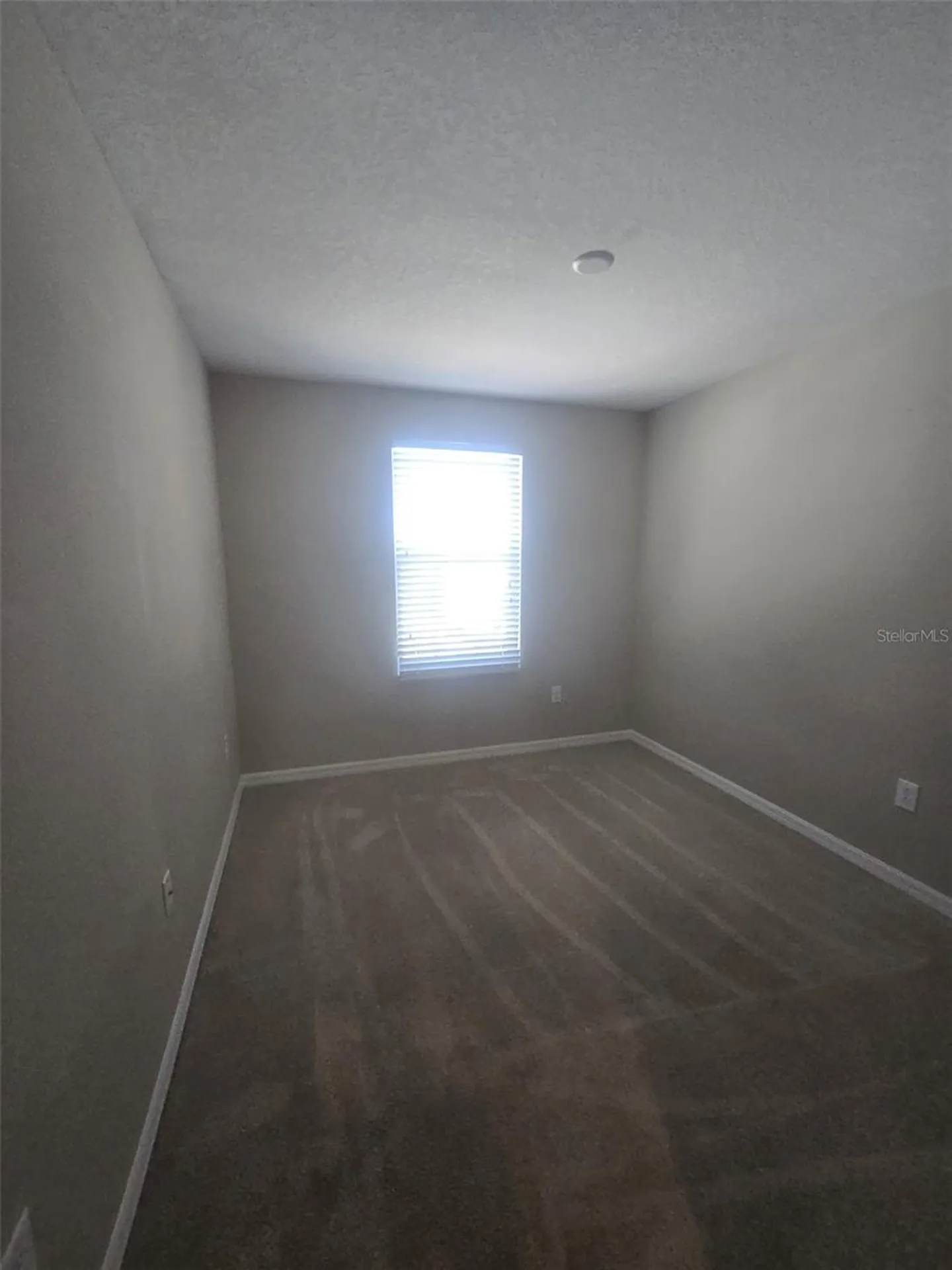 6978 Holly Heath Drive Riverview FL 33578