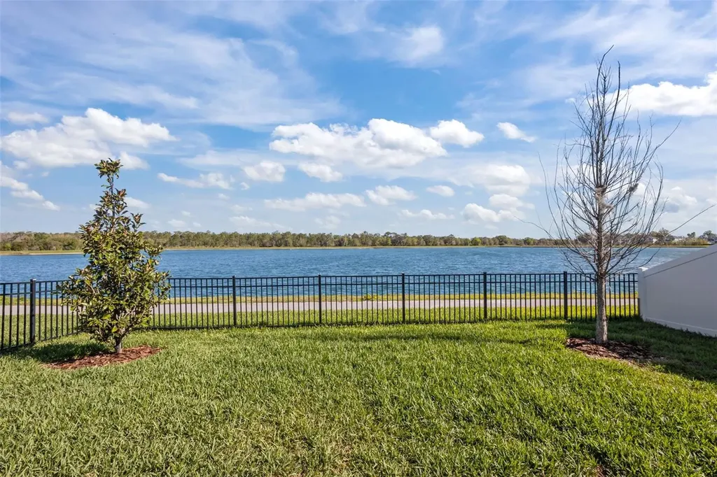 31763 Asbury Avenue Wesley Chapel FL 33545