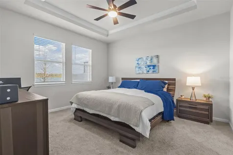 31763 Asbury Avenue Wesley Chapel FL 33545